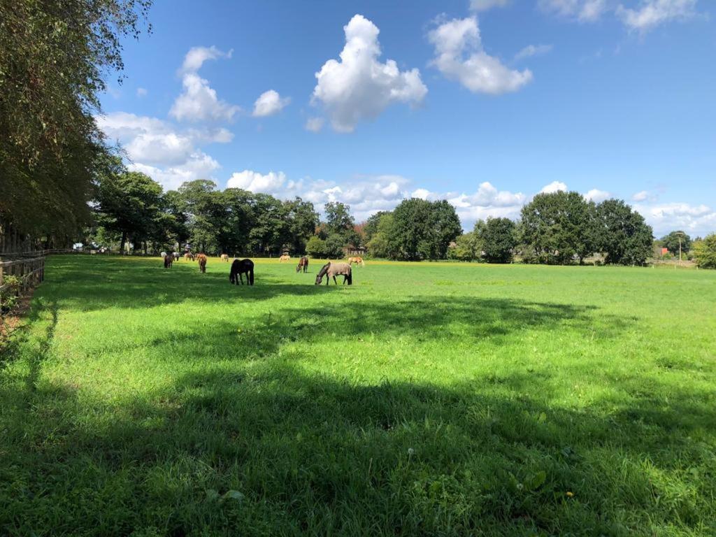 Boerderij De Enkhoeve Laag-Soeren Exterior foto